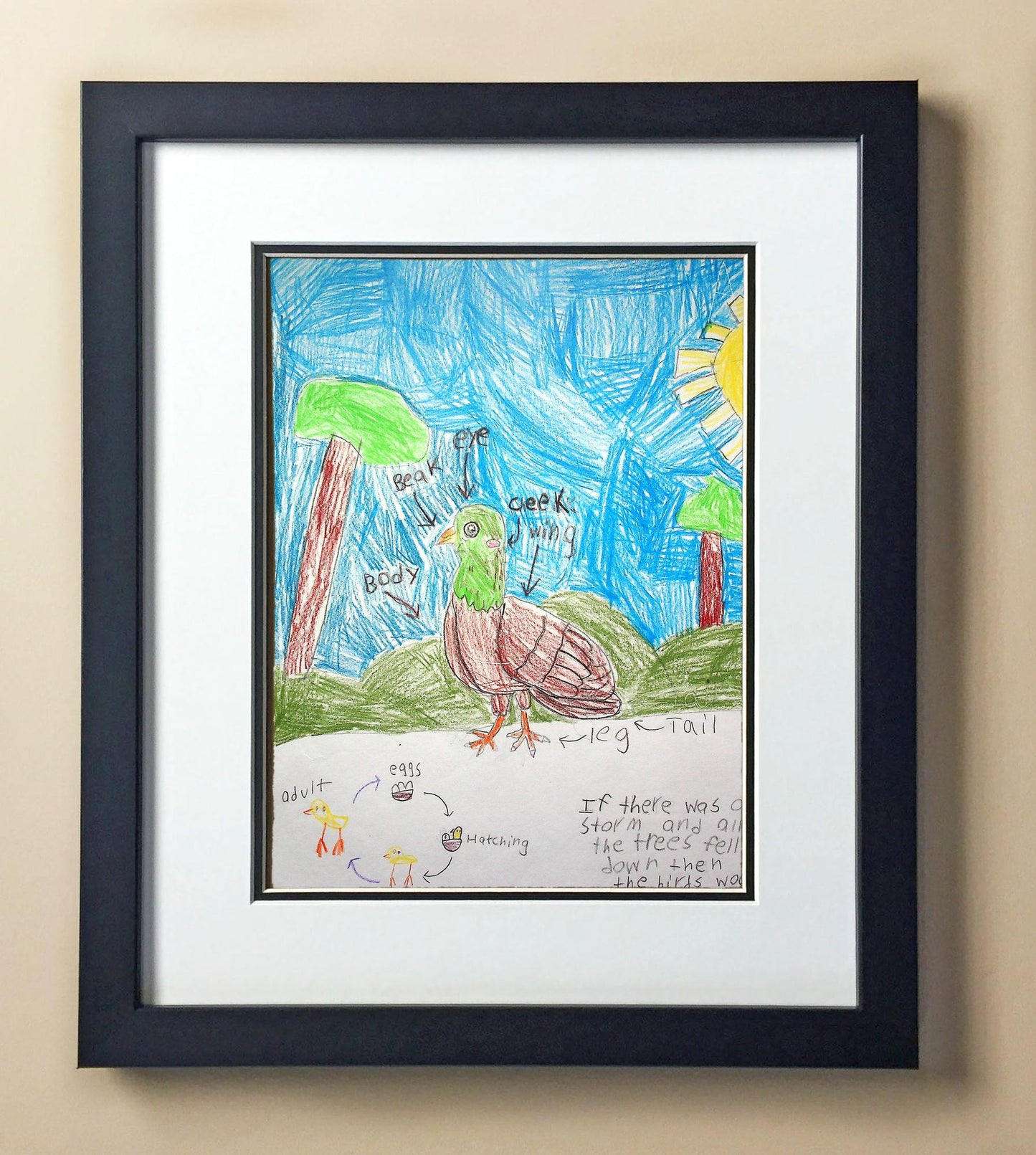 Anna Be. 2nd Grade Coleman 00202.jpg
