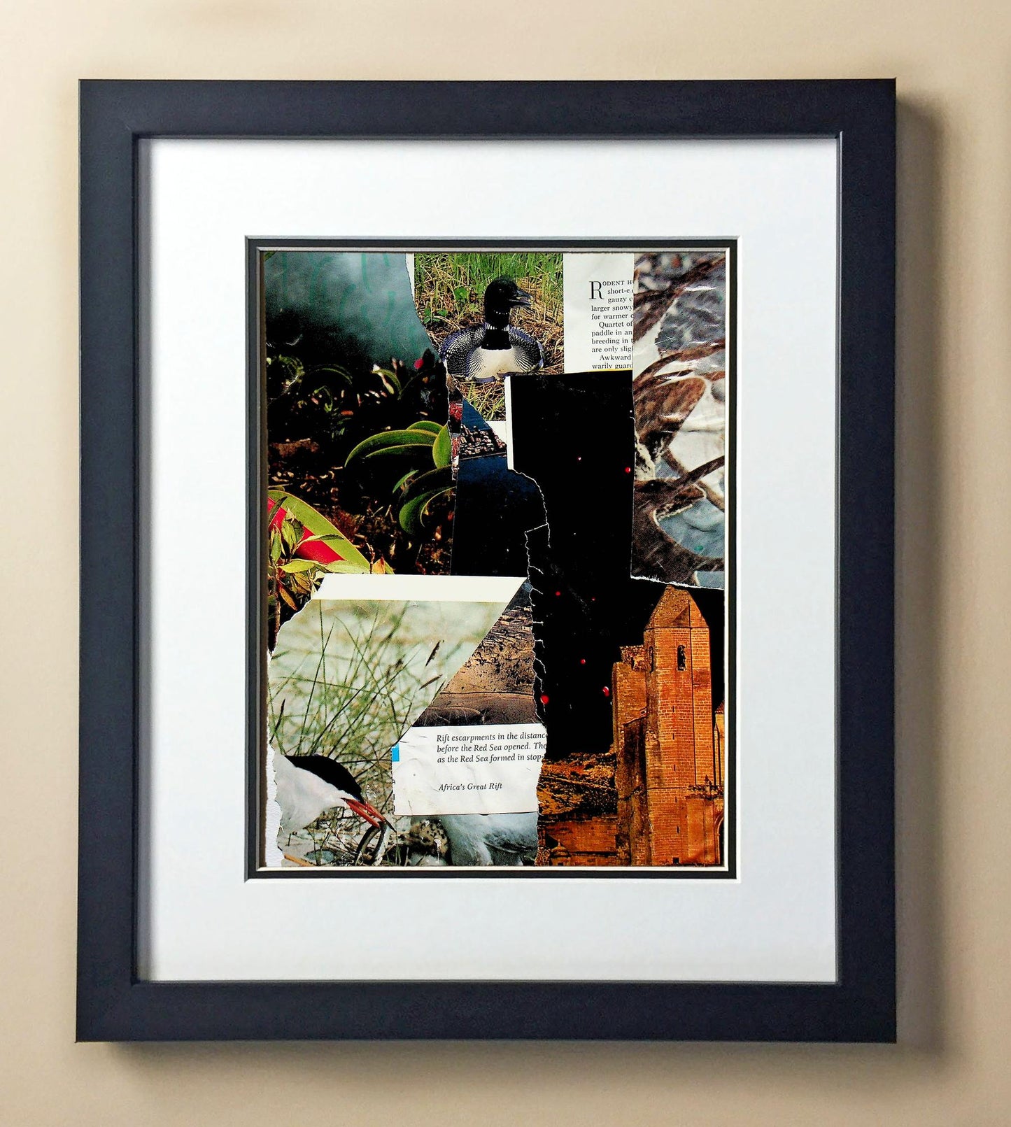 Avanya Vi. 3rd Grade Bollefer 00302.jpg