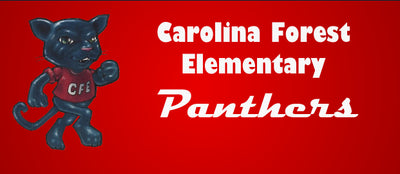 carolinaforestelementary29579