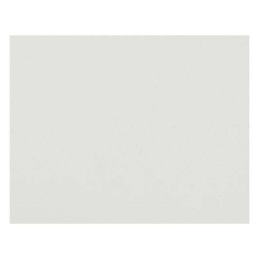 4-Ply Railroad Board, White, 22" x 28", Pack of 50