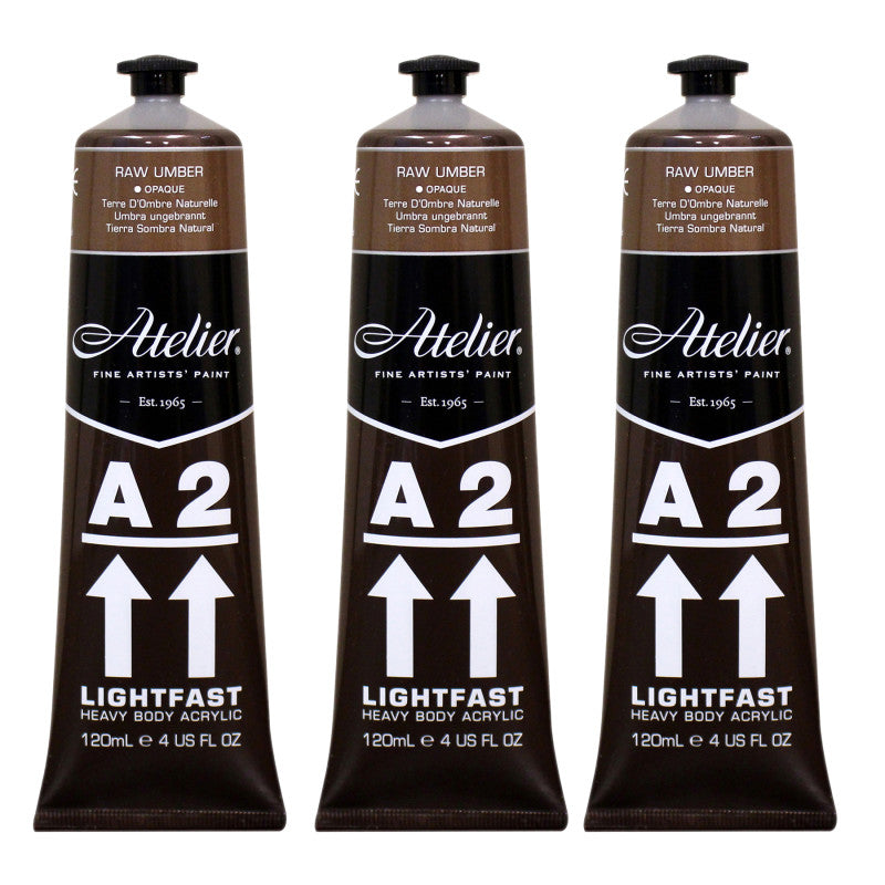 A2 Heavy Body Lightfast Artist Acrylic, 4 oz., Raw Umber, Pack of 3