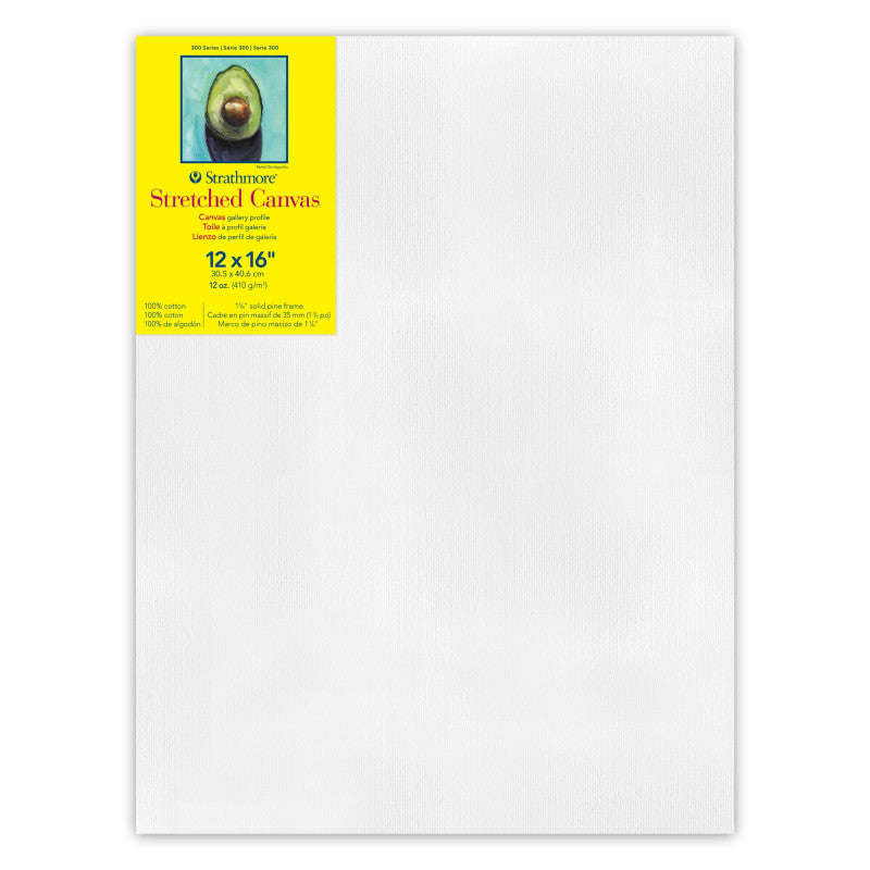 300 Series Gallery Stretched Canvas, 12x16 inch