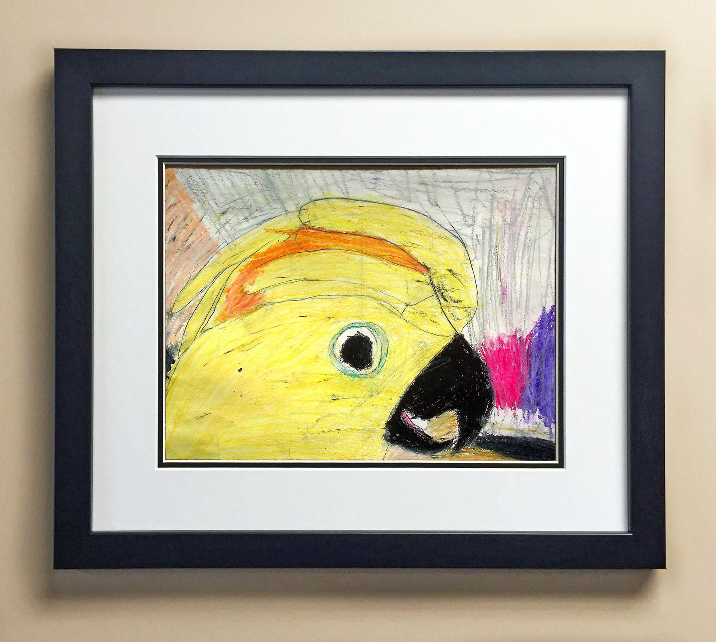 Finley Lu. 5th Grade Davies 00823.jpg