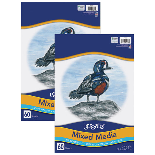 Mixed Media Art Paper, Heavyweight, 12" x 18", 60 Sheets Per Pack, 2 Packs