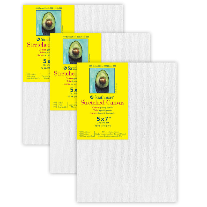 300 Series Gallery Stretched Canvas, 5x7 inch, Pack of 3