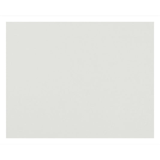 4-Ply Railroad Board, White, 22" x 28", 100 Sheets