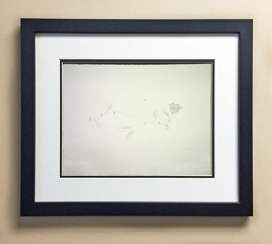 Teagan Pe. 5th Grade Coles 00395.jpg