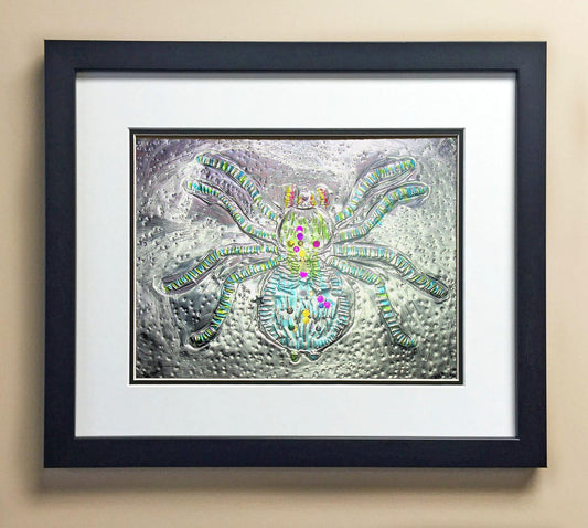 Tommy Br. 2nd Grade Berentsen 00246.jpg