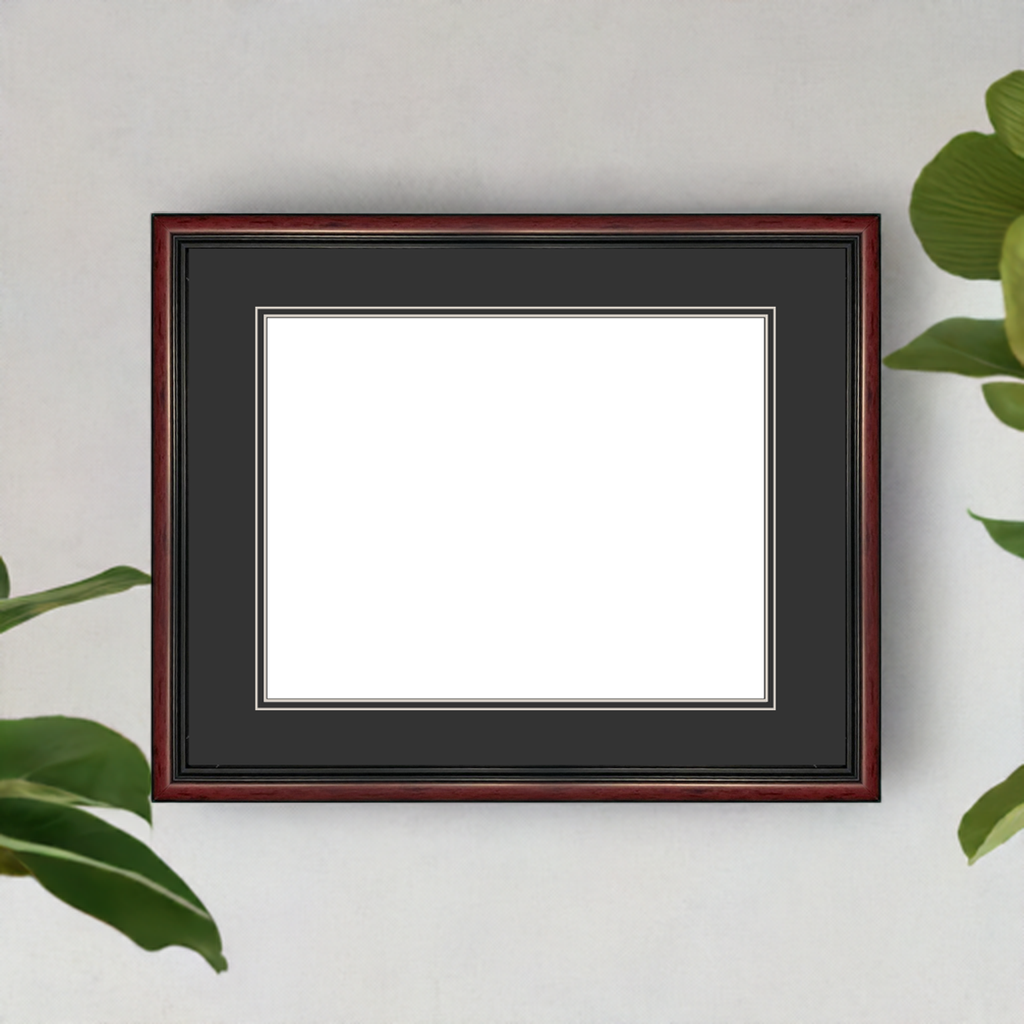 Standard Style Diploma Frame