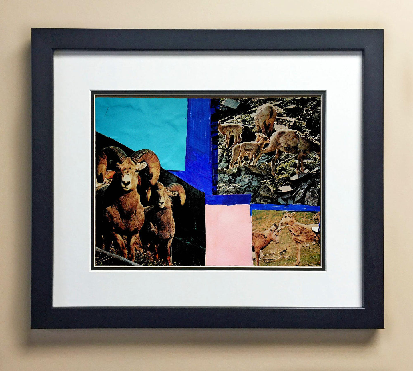 Abner Se. 3rd Grade JUSTICE 00354.jpg