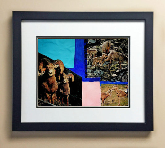 Abner Se. 3rd Grade JUSTICE 00354.jpg