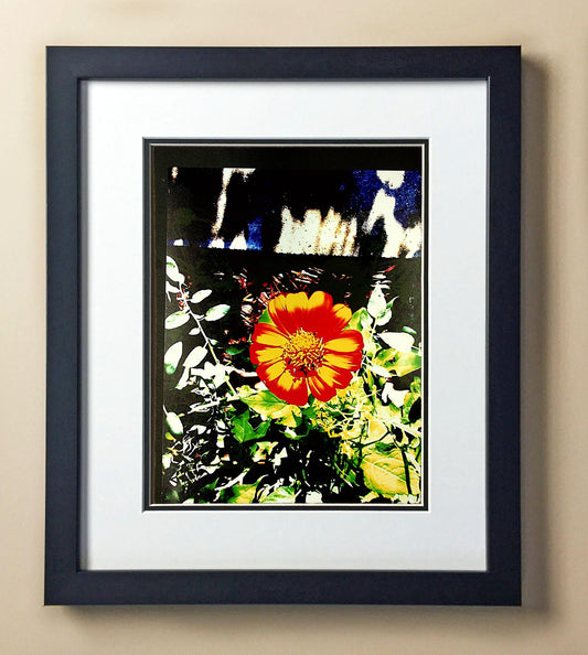 Earl Og. 4th Grade Wilbern 00502.jpg