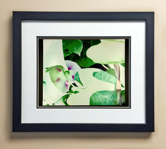 Gabriella Wa. 4th Grade Wilbern 00510.jpg